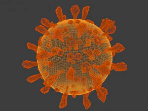 covid-19sars-cov-2 3D Model