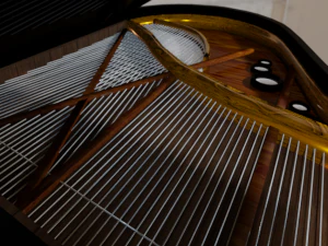 pianoforte yamaha Modello 3D