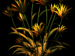 vegetable plot 3D Model