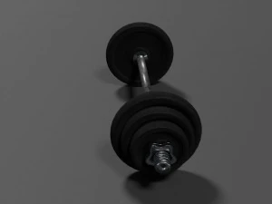 dumbbell 3D Model