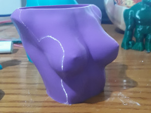 woman body for vase mode Model do druku 3D