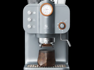 Coffee maker swan sk22110cn 3D Model