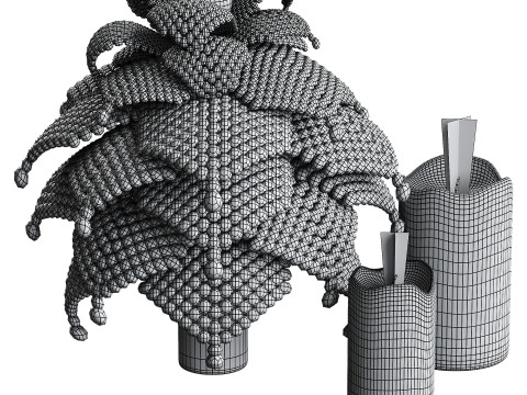 Decorative Fir 3Dモデル