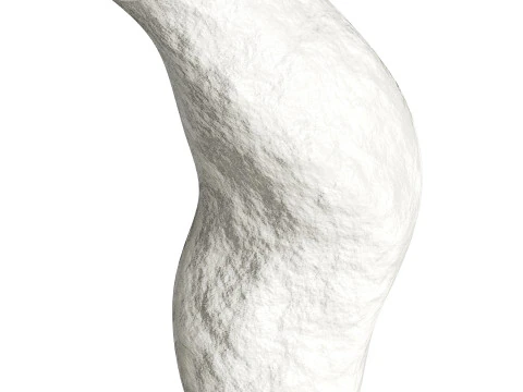 Vase 3D Model