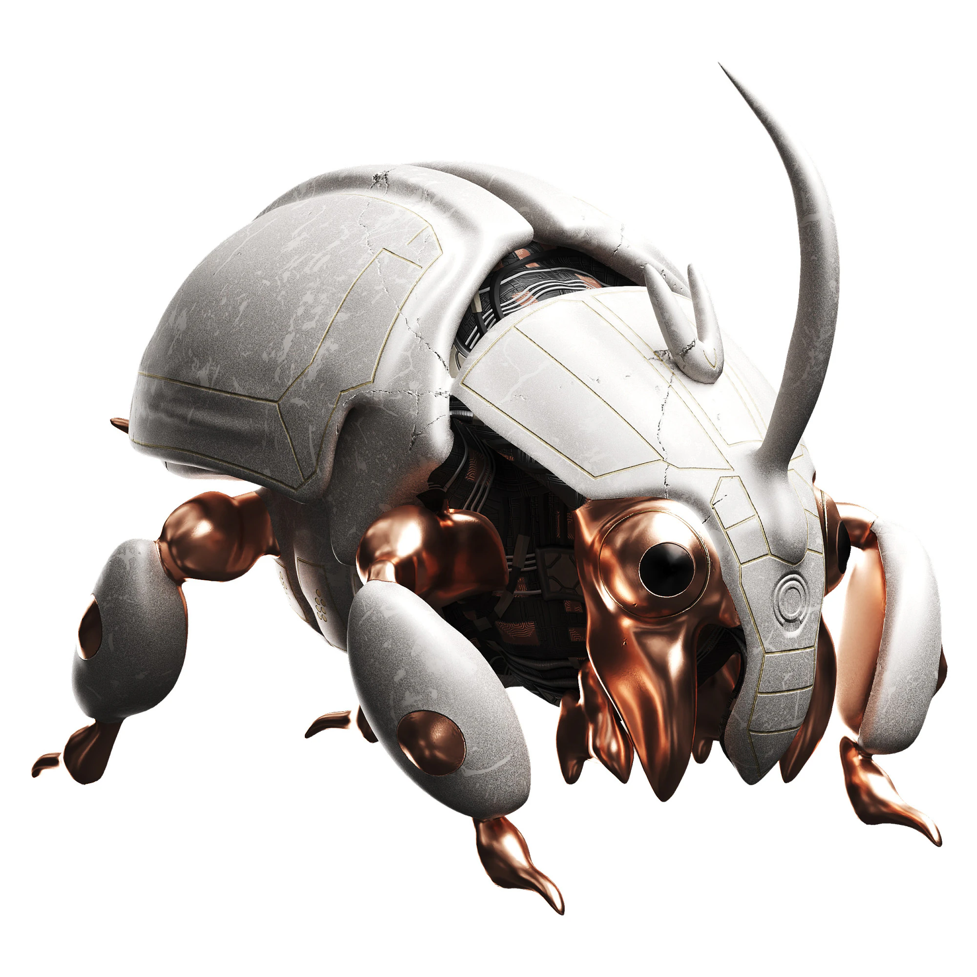 Beetle 3D Model .c4d .max .obj .3ds .fbx .stl .blend