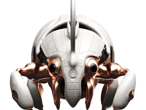 Beetle 3D Model