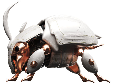 Beetle 3D मॉडल