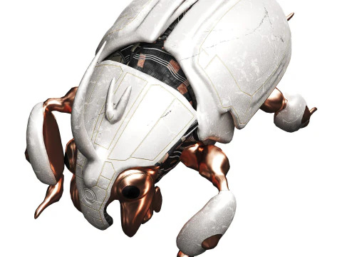 Beetle 3D Model
