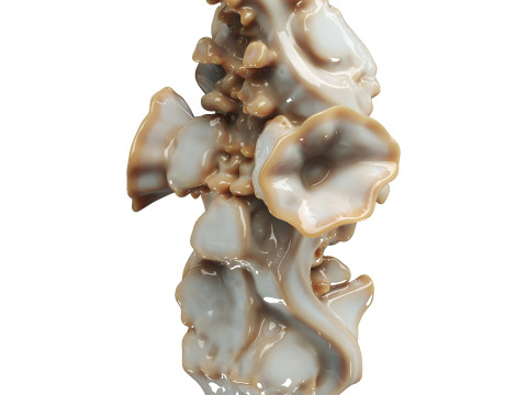 Decorative conch 3Dモデル