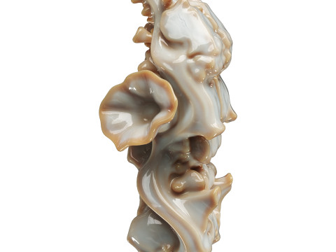Decorative conch Model 3D