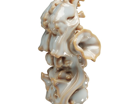 Decorative conch Model 3D
