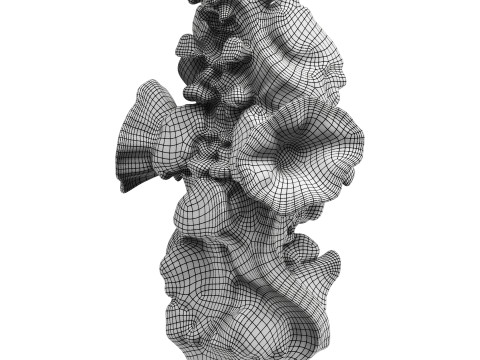 Decorative conch Model 3D