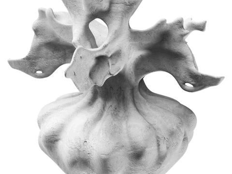 Vase 3D Model