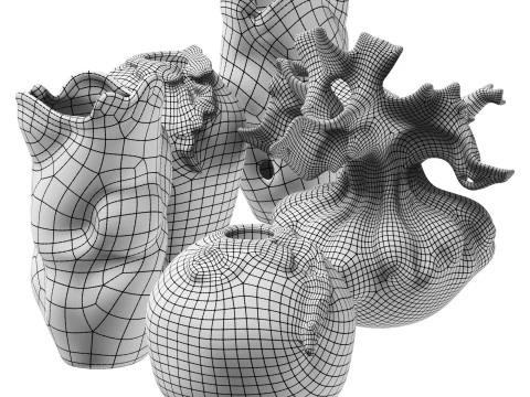 Vase 3D Model