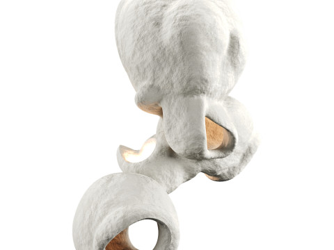Fertility Form Pendant Light 3D 모델