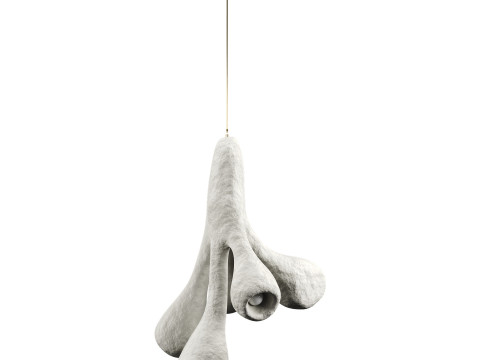 Unique hanging lamp Modello 3D