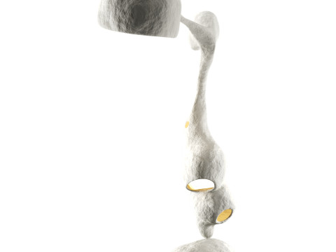 Unique Ovorepository floor lamp 3D Модель