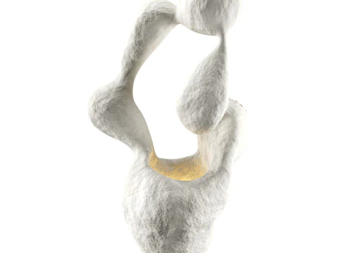 Doğurganlık Formu Işığı 3D Model