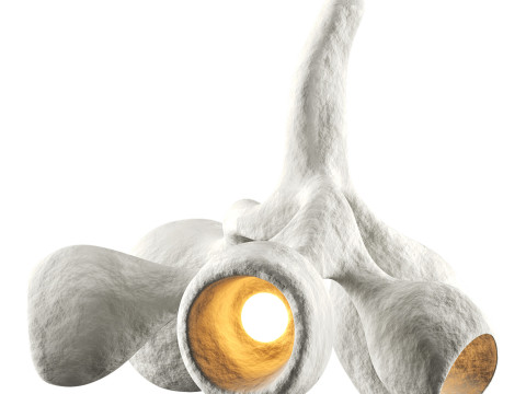 Fertility Form illuminated sculpture 3D 模型