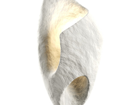 Ma Sconce Bra 3D 模型