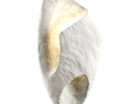 Ma Sconce Bra 3D Model
