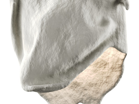 Castimonia Corporis Modello 3D