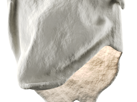 Castimonia Corporis Modello 3D