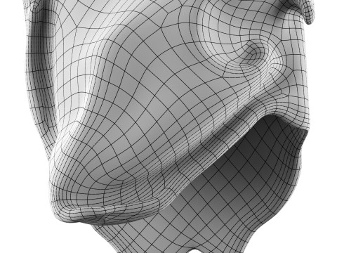 Castimonia Corporis Modello 3D