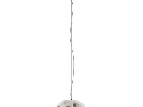 Creative pendant light 3D Model