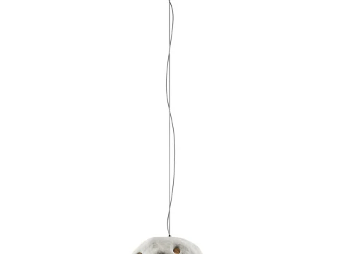 Creative pendant light 3D Model