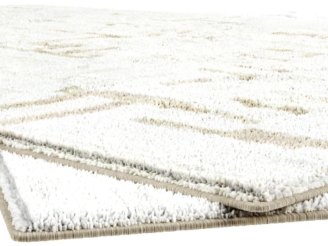 Carpet Art for Interior 40 3D Model