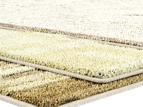 Carpet Art for Interior 41 3D Model