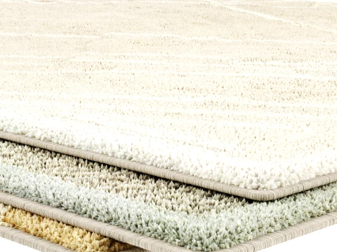 Carpet Art for Interior 46 3D Model