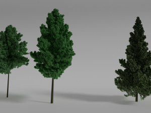 three trees 3Dモデル