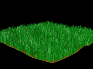 grass 3Dモデル