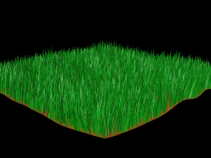 grass 3D Model