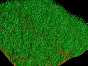 grass 3D Model