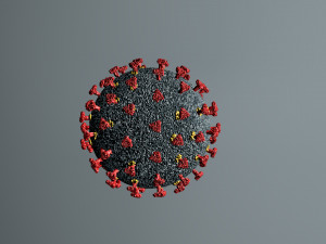 Corona virus 3D Model