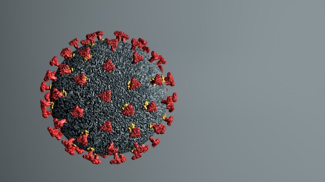 Corona virus 3D Model .c4d .max .obj .3ds .fbx .stl .blend 