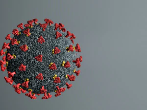 Korona vir&uuml;s 3D Model