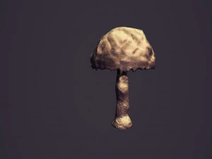 Star wars sci-fi felucia stuff 3D Model
