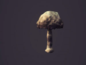 Star wars sci-fi felucia stuff 3D Model