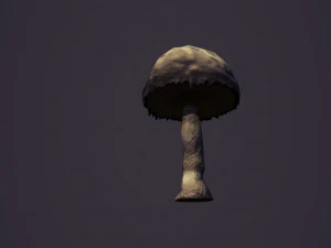 Star wars sci-fi felucia stuff 3D Model