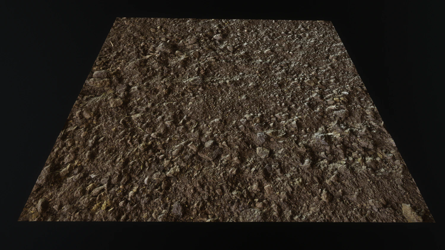 ground felucia CG Textures .c4d .max .obj .3ds .fbx .stl .blend