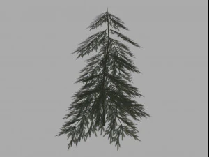 pohon cemara Model 3D