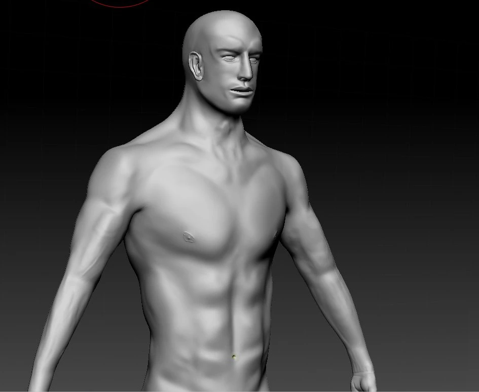 realistic male base human anatomy 3D Model .c4d .max .obj .3ds .fbx .stl .blend 