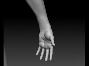 realistic male base human anatomy 3D Model