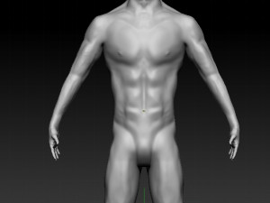 realistic male base human anatomy 3D Model