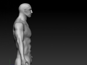 realistic male base human anatomy 3D Model
