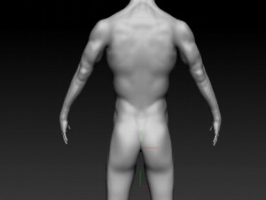 realistic male base human anatomy 3D Model